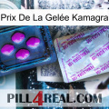 Prix De La Gelée Kamagra 37